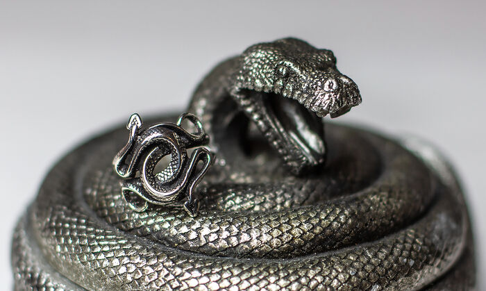 Verschlungenes Schmuckstück &#8211; der Schlangen Ring von etNox