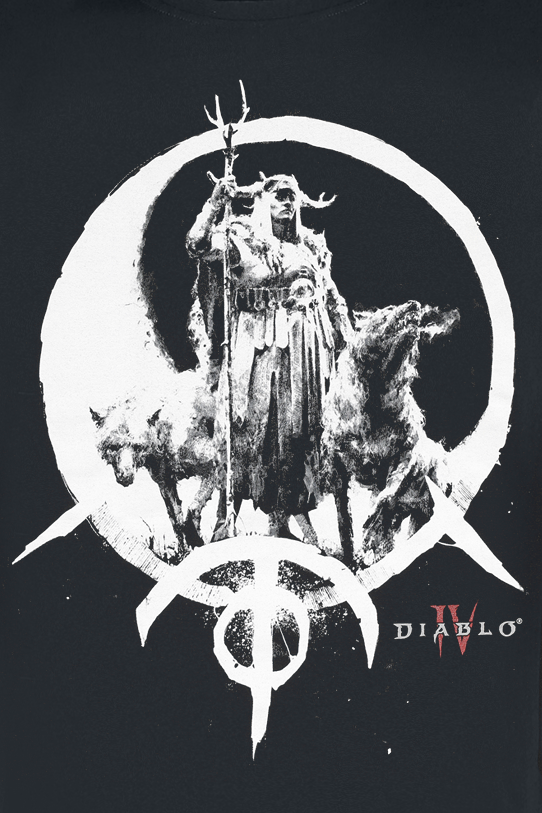 Diablo - Gaming T-Shirt - 4 - Druid - S bis XXL - für Männer - Größe M - schwarz