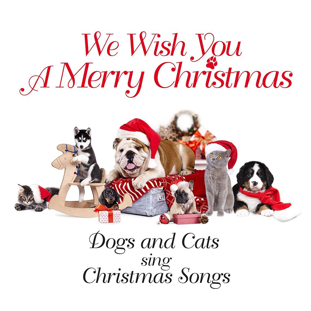 Dogs Cats Sing Christmas Songs We Wish You A Merry Christmas