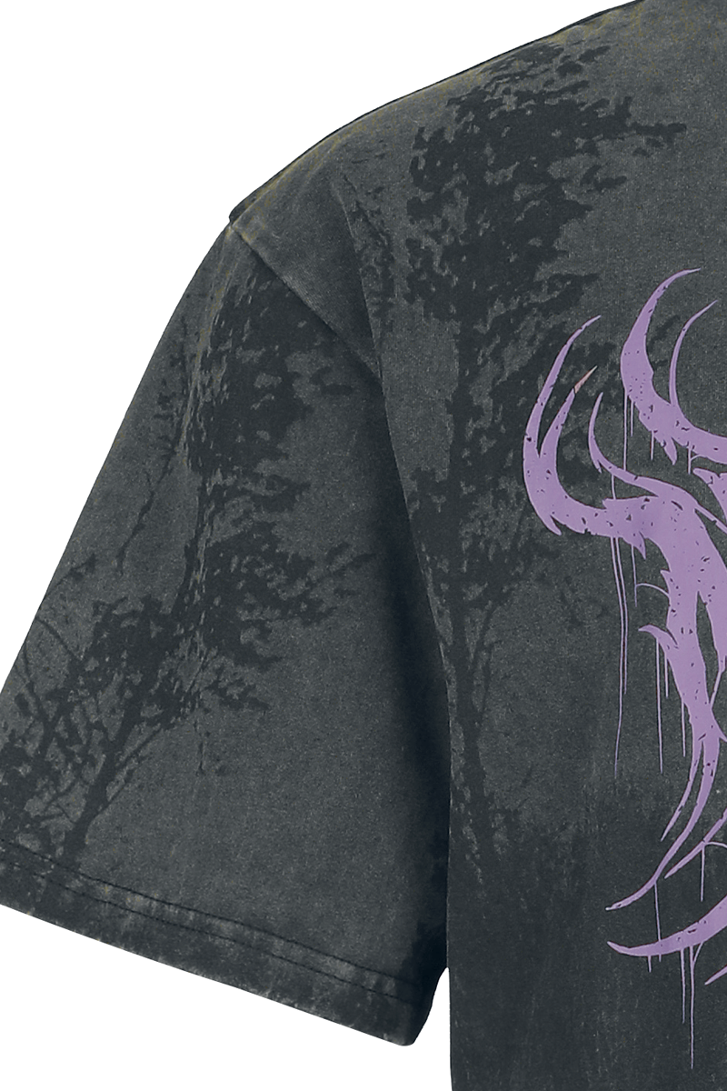 4068143337670 - EMP Signature Collection - Heavyweight T-Shirt dunkelgrau schwarz in S