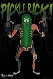 Pickle Rick, Rick And Morty, Poster