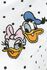 Donald Duck Donald