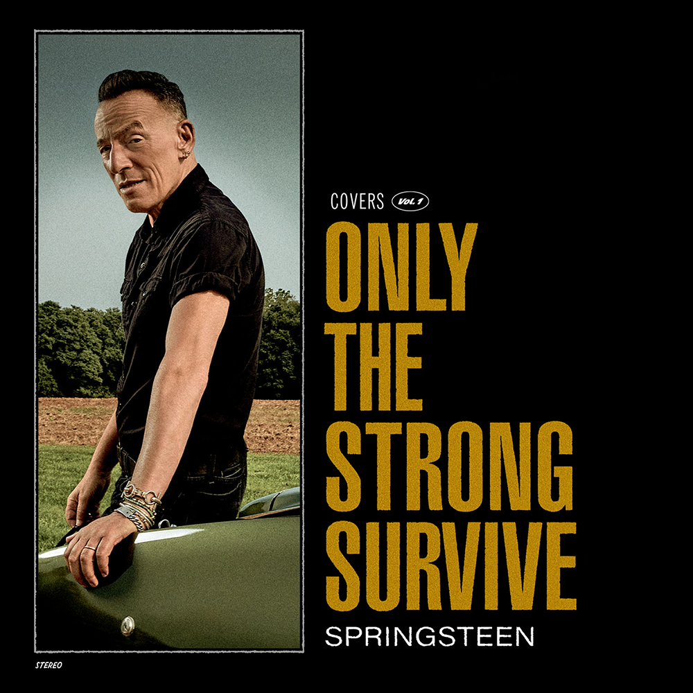 Bruce Springsteen Only the strong survive LP multicolor