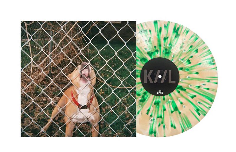 0810540038254 - Pop Culture LP multicolor