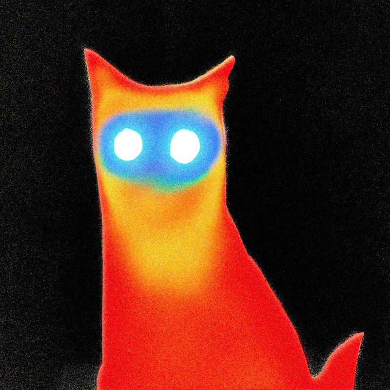 Basement Wired LP multicolor