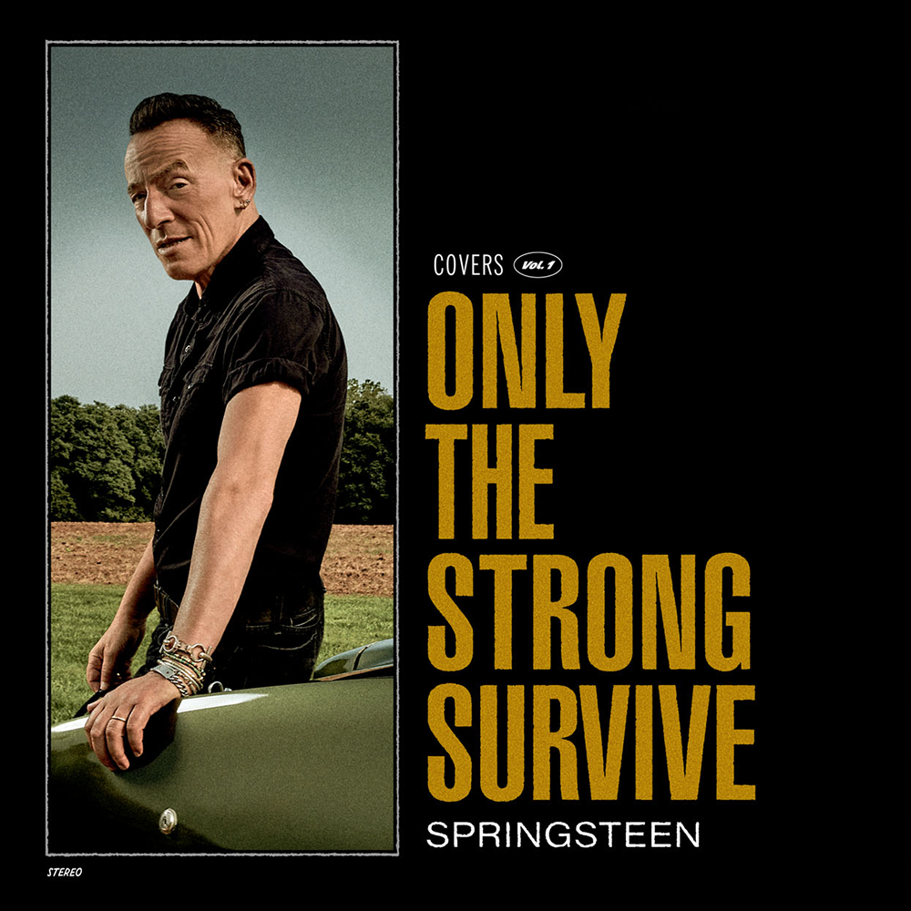 Bruce Springsteen Only the strong survive CD multicolor