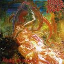 Blessed are the sick, Morbid Angel, CD