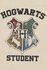 Hogwarts Student