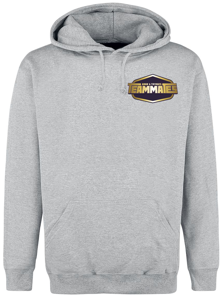 Amar and Trymacs: Teammates Logo Hooded sweater mottled grey