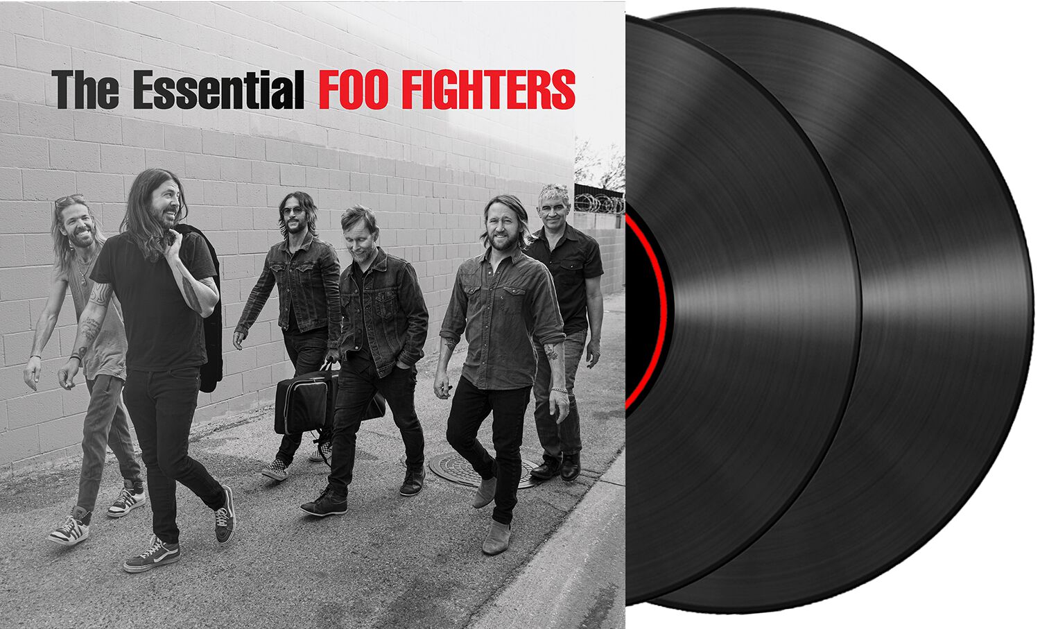 Foo Fighters The essential LP multicolor