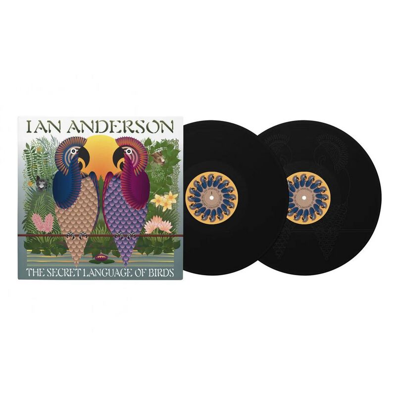 LP  av Anderson, Ian - The Secret Language Of Birds -  -