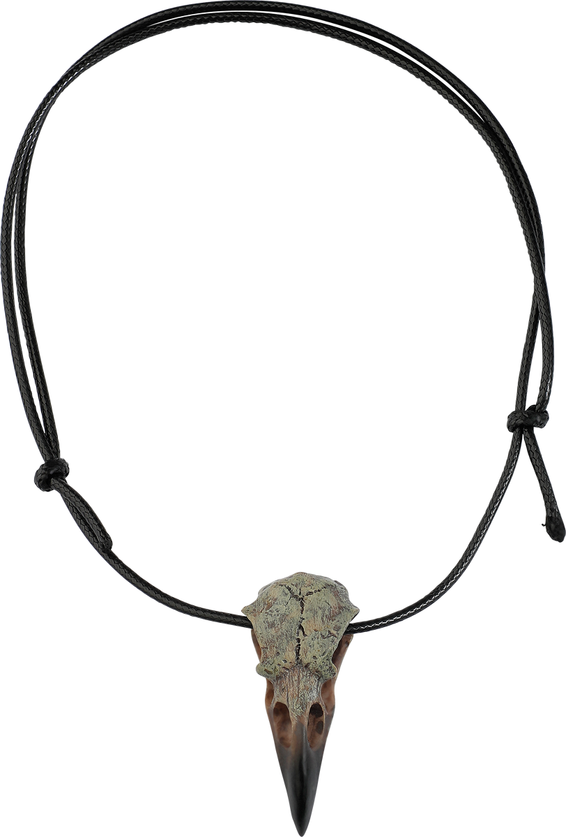 4068143335935 - Raven Skull Necklace Halsband multicolor