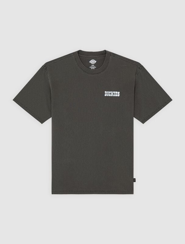 Dickies BUCHTELL TEE T-Shirt schwarz in S