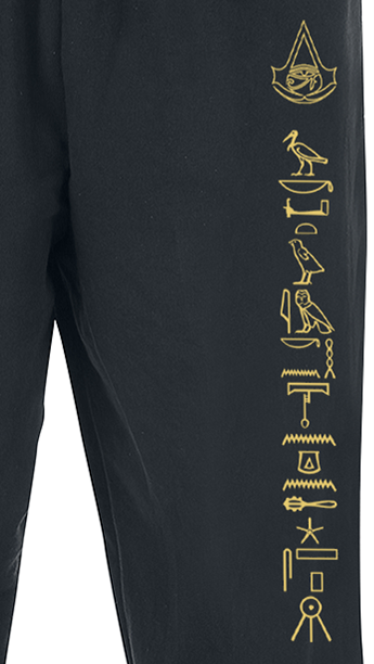 Assassin's Creed Origins Trainingshose schwarz - 11.43% Rabatt