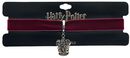 Gryffindor Crest Charm Necklace, Harry Potter, Halskette