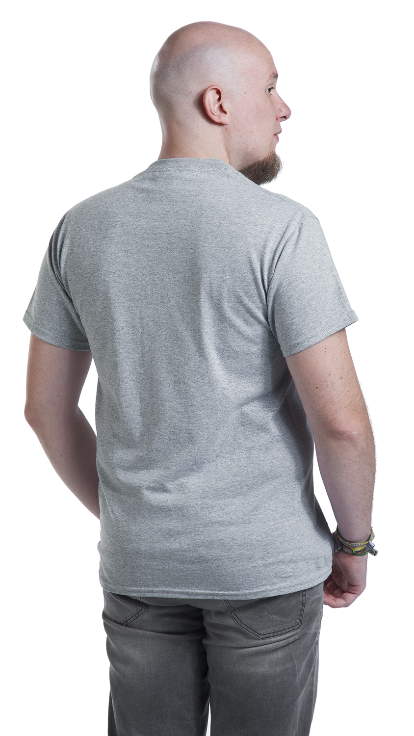 Sprüche Proton T-Shirt grau meliert