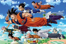 Dragon Ball Super Goku's Group