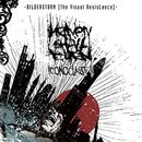 Bildersturm - Iconoclast II (The visual resistance), Heaven Shall Burn, CD