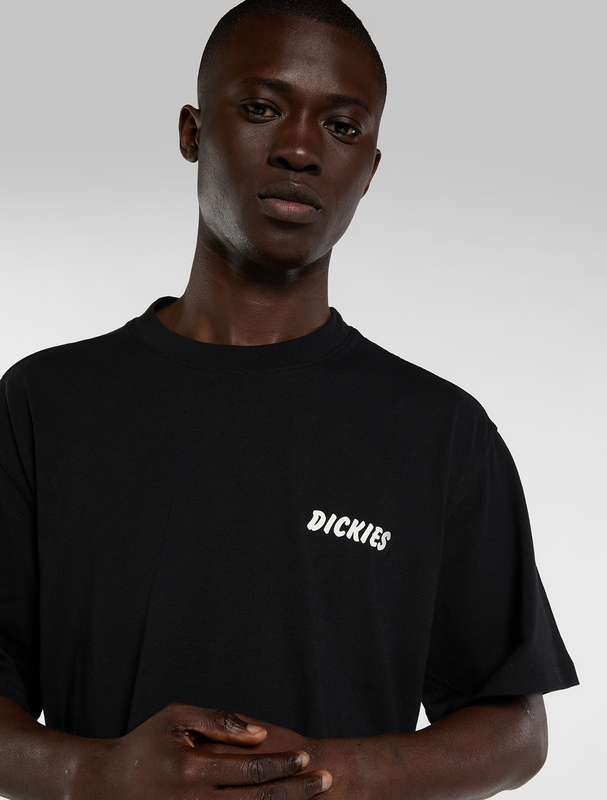 Thumbnail - Dickies DRY RIDGE TEE T-Shirt schwarz in S