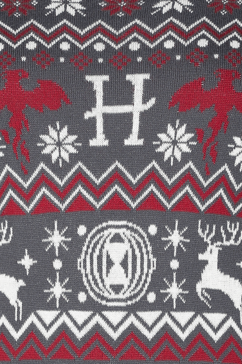 Harry Potter Phönix & Patronus Mittellanges Kleid multicolor