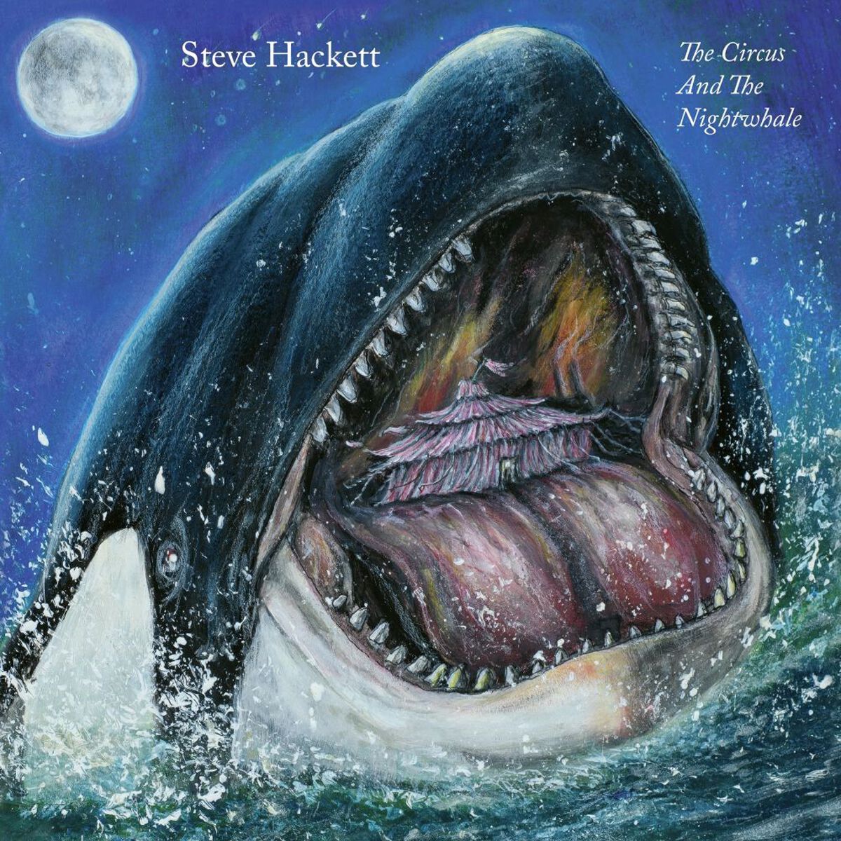 Levně Steve Hackett The circus and the nightwhale CD standard