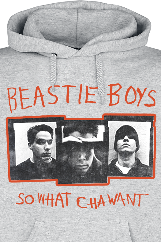 Beastie Boys So Watcha Want Kapuzenpullover grau