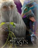 Fantastic Beasts, Phantastische Tierwesen und wo sie zu finden sind, Poster