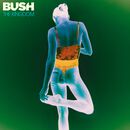 The kingdom, Bush, CD