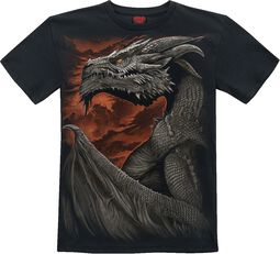Majestic Draco, Spiral, T-Shirt