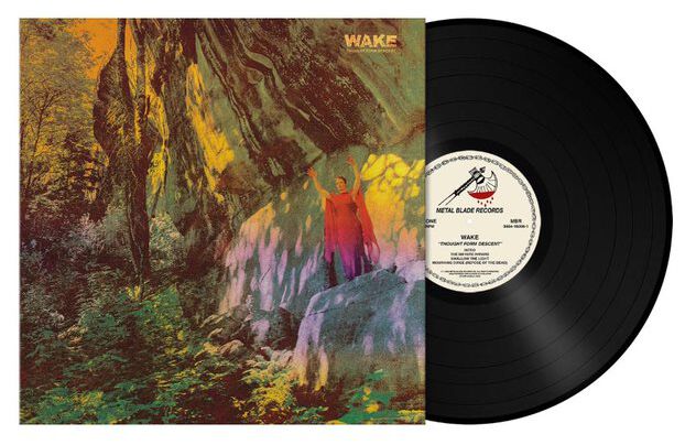 WAKE Thought form descent LP multicolor