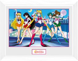 Group, Sailor Moon, Gerahmtes Bild