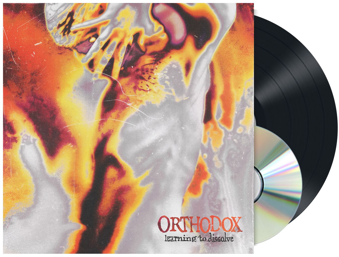 Orthodox Learning to dissolve LP schwarz