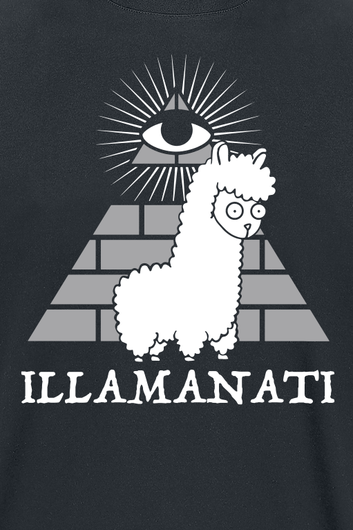 Sprüche ILLAMANATI T-Shirt schwarz