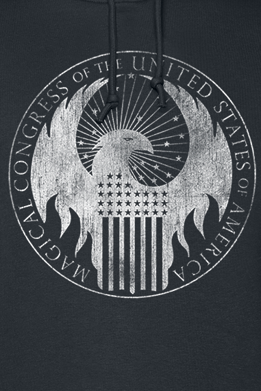 Phantastische Tierwesen Phantastische Tierwesen 2 - Magical Congress Kapuzenpullover schwarz