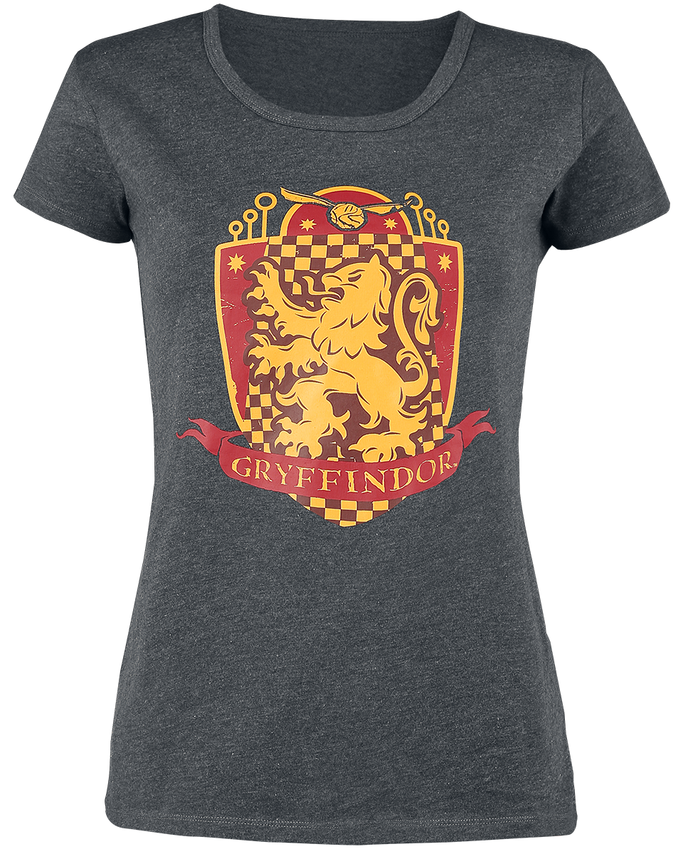 Harry Potter Gryffindor Quidditch Schlafanzug grau rot gelb