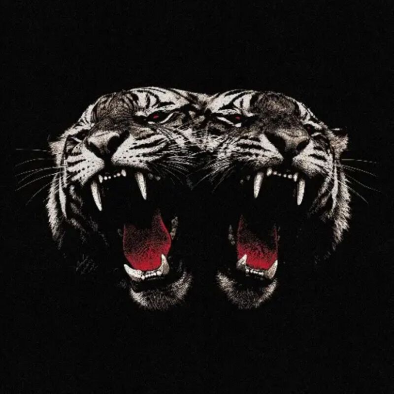 Royal Blood Cd - Dead Company - Voor Geen - Standaard