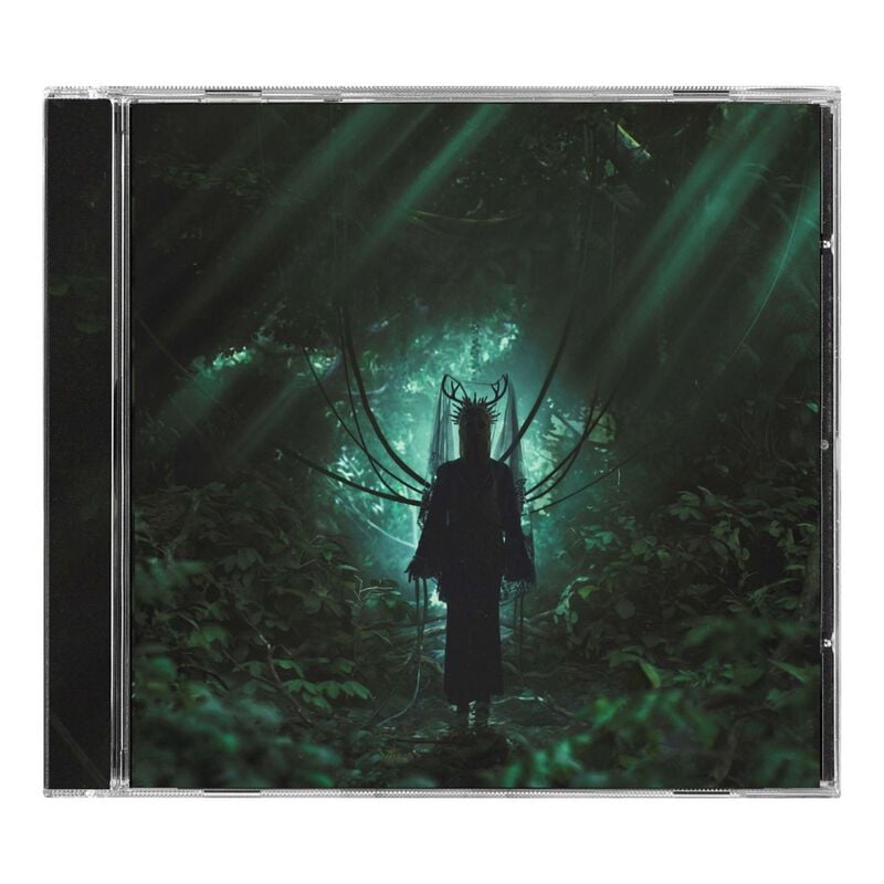 Glasswaves CD - while (True) - voor Geen - standaard