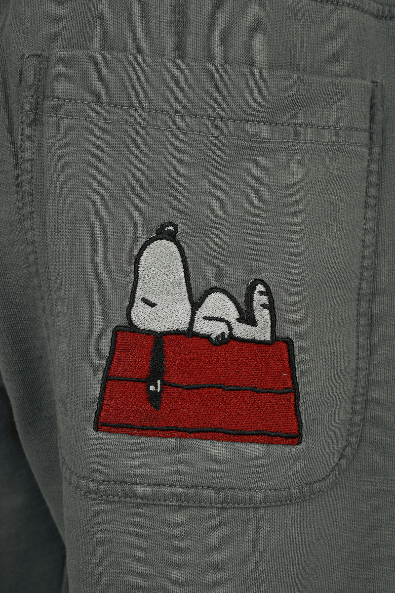 Thumbnail - Peanuts Snoopy Trainingshose multicolor in L