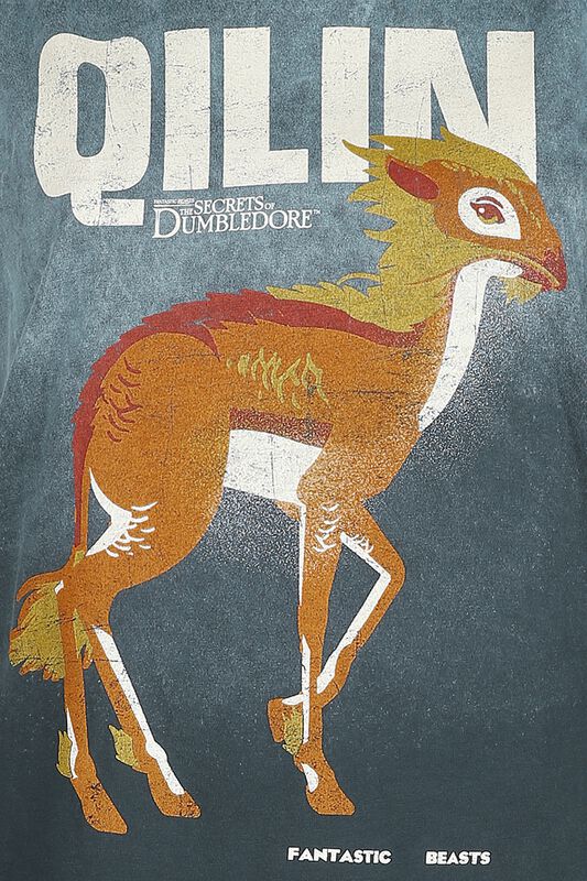 Frauen Bekleidung Phantastische Tierwesen 3 - Qilin | Phantastische Tierwesen T-Shirt