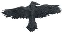 Raven Hair Clip, Alchemy Gothic, Haarspange