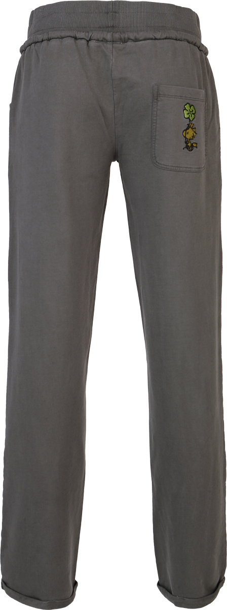 4250979877370 - Woodstock Trainingshose multicolor in S