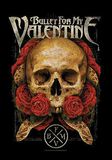 Skull, Bullet For My Valentine, Flagge