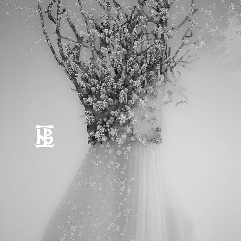 Negura Bunget Zau CD multicolor