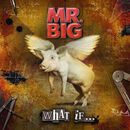 What if..., Mr. Big, CD
