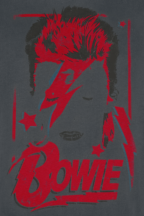 David Bowie Amplified Collection - Aladdin Sane T-Shirt charcoal