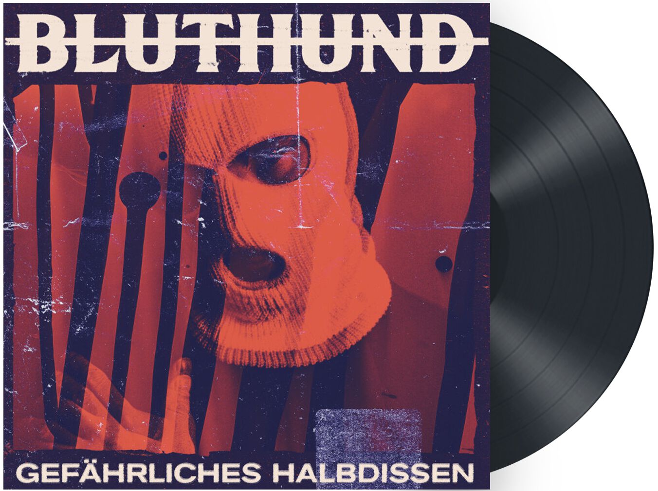 Image of Bluthund Gefährliches Halbwissen LP schwarz