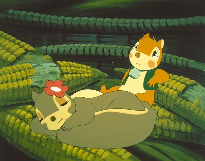 Komplettbox Puschel das Eichhorn DVD EMP