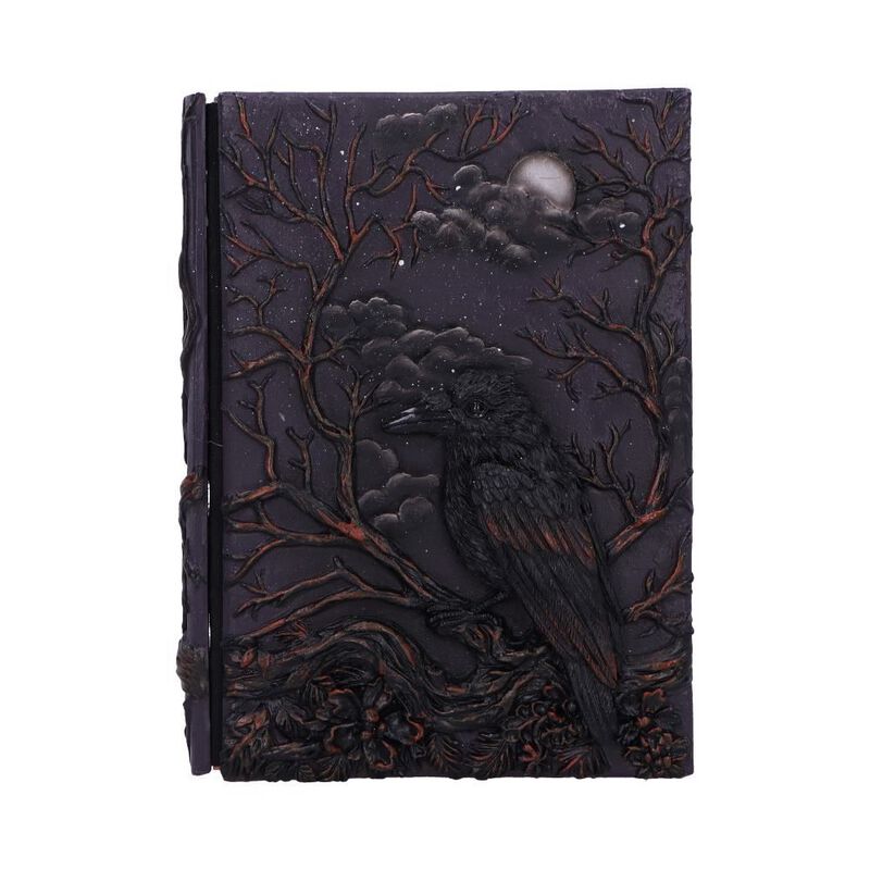 Nemesis Now Raven's Grimoire Journal Notebook multicolour