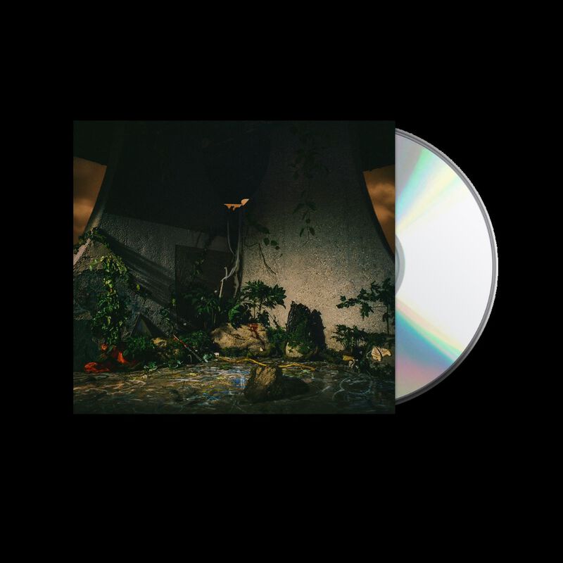 CD  av The Plot In You - The Plot in You -  -