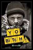 Yo Bitch!, Breaking Bad, Poster